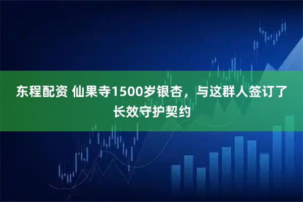 东程配资 仙果寺1500岁银杏，与这群人签订了长效守护契约