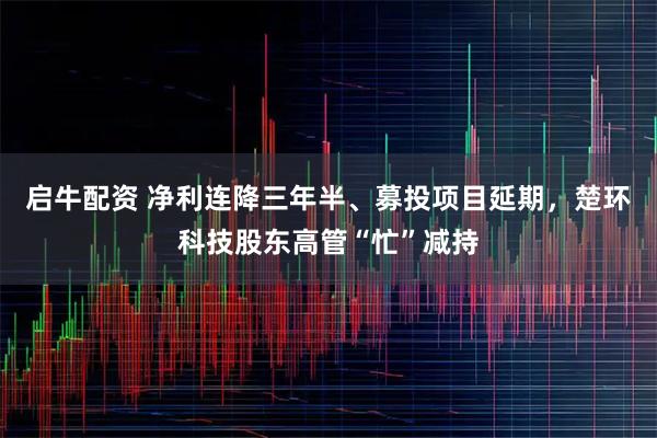 启牛配资 净利连降三年半、募投项目延期，楚环科技股东高管“忙”减持