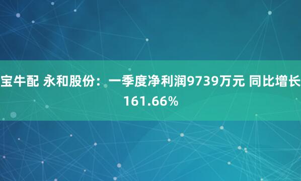宝牛配 永和股份：一季度净利润9739万元 同比增长161.66%
