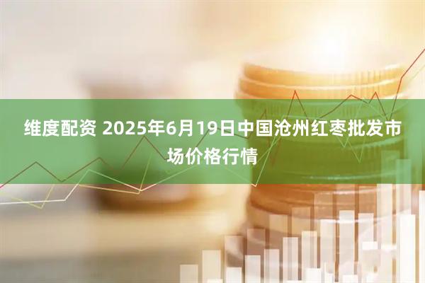 维度配资 2025年6月19日中国沧州红枣批发市场价格行情