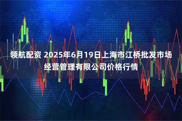 领航配资 2025年6月19日上海市江桥批发市场经营管理有限公司价格行情