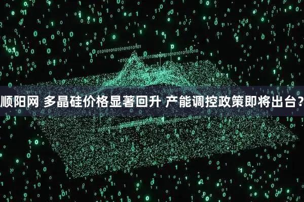 顺阳网 多晶硅价格显著回升 产能调控政策即将出台?