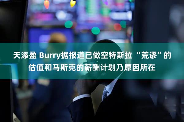 天添盈 Burry据报道已做空特斯拉 “荒谬”的估值和马斯克的薪酬计划乃原因所在