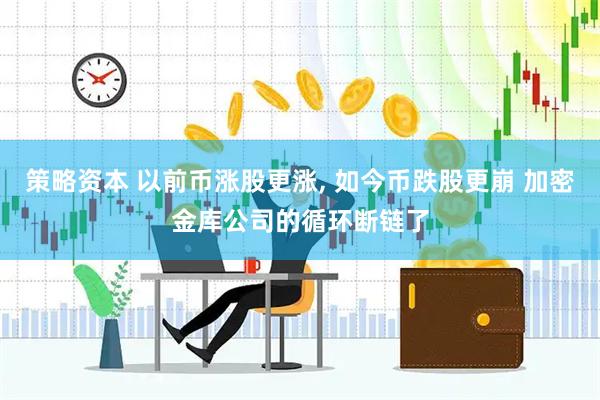策略资本 以前币涨股更涨, 如今币跌股更崩 加密金库公司的循环断链了