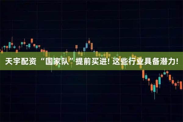 天宇配资 “国家队”提前买进! 这些行业具备潜力!